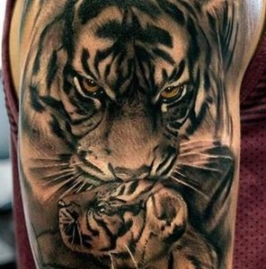 Meet your Posher, Contreras